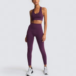 Seamless Gym Set Nylon Woman Sportswear