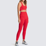 Seamless Gym Set Nylon Woman Sportswear