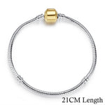 Chain Bracelet & Bangle