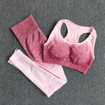 Ombre Yoga Set Sports Bra and Leggings Women Gym Set