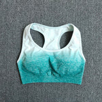 Ombre Yoga Set Sports Bra and Leggings Women Gym Set
