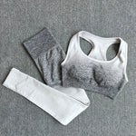 Ombre Yoga Set Sports Bra and Leggings Women Gym Set